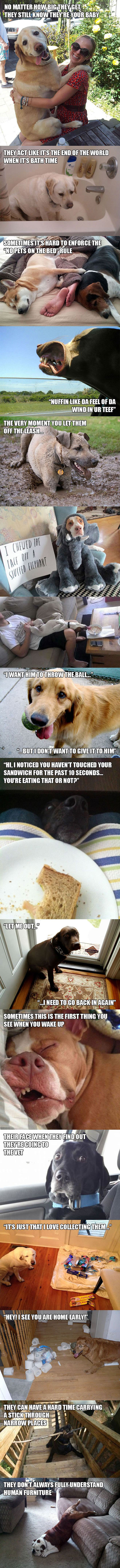 Struggles Only Dog Owners Will Understand