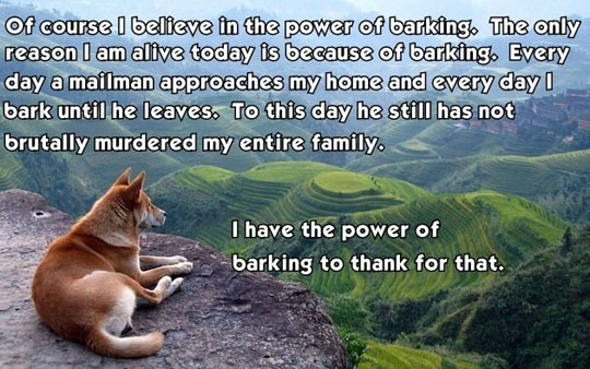 Believe In The Power Of The Bark