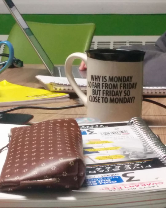 The Mug Is Asking The Important Questions