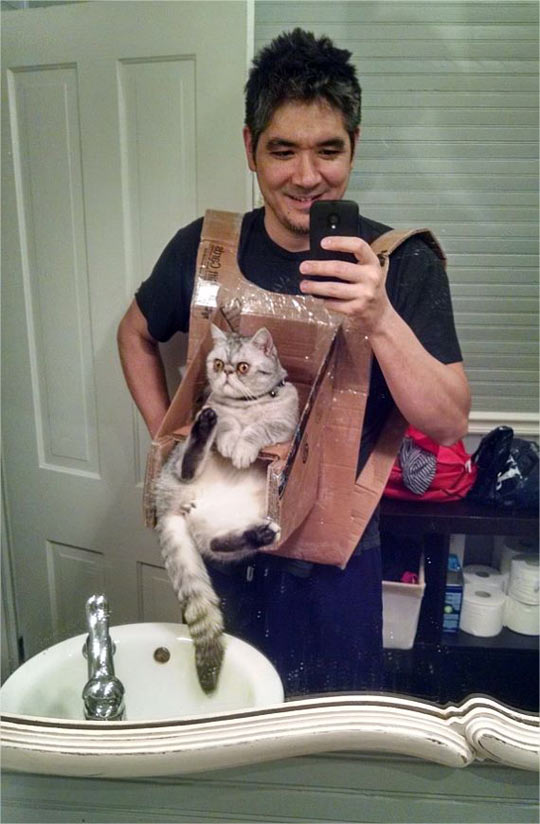 DIY Cat Chest Harness