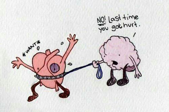 Difficult Relationship Between The Heart And The Brain