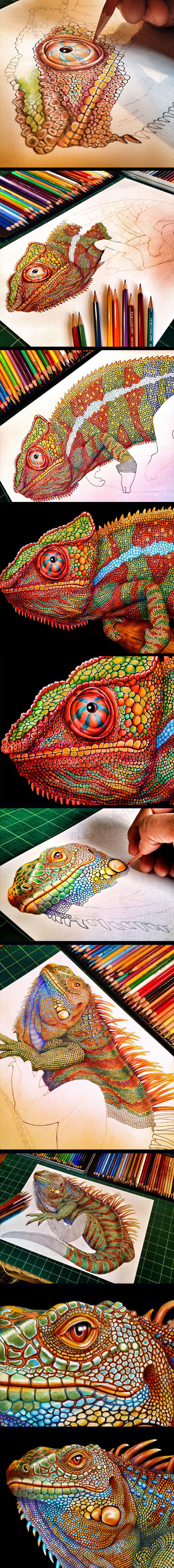 Incredibly Detailed Drawing Of A Chameleon