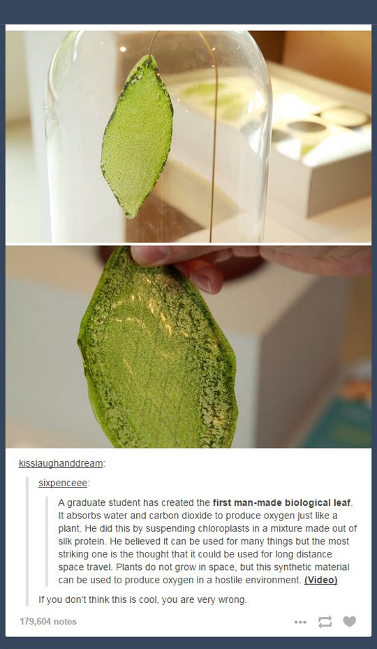 The First Ever Man-Made Leaf