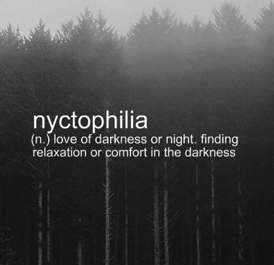 meaning-definition-nyctophilia