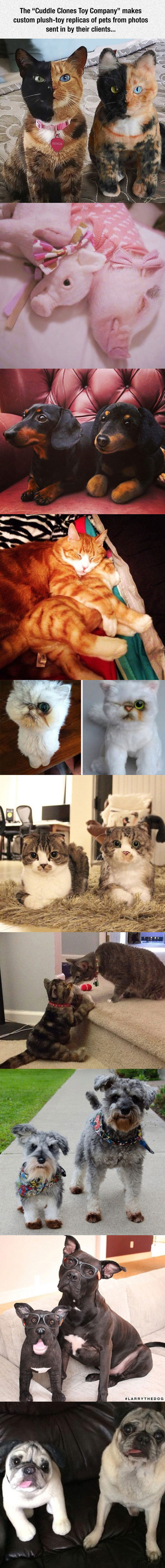 This Company Makes Plush Toy Copies Of Your Pets