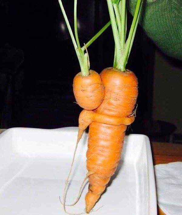 Love is the root of all vegetables