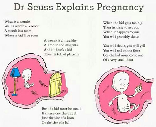 When Dr. Seuss Explains Pregnancy