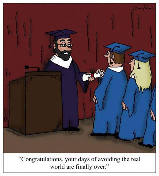 funny-graduate-school-comic