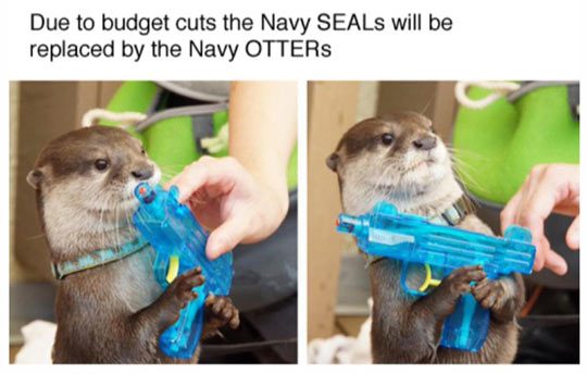 funny-otter-military-US