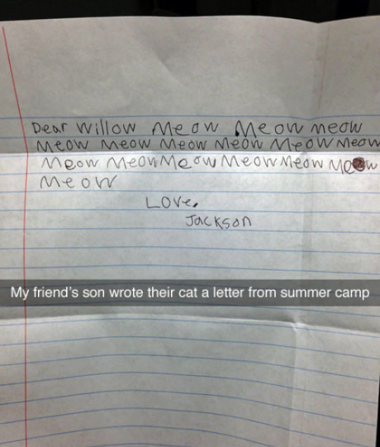 Dear Cat