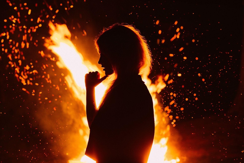 Foxy Silhouette