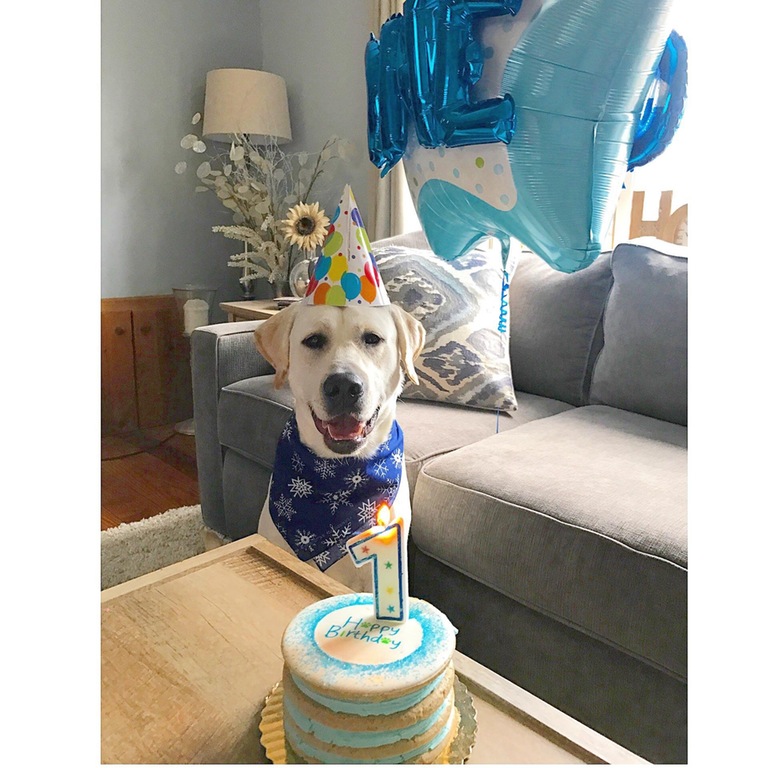 My little boy turned 1 today.