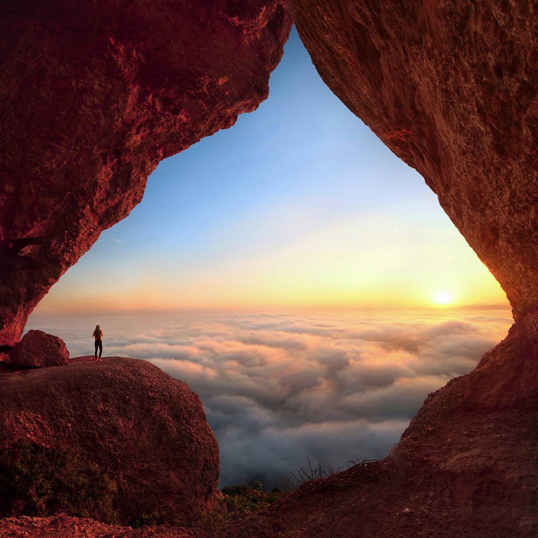 Nature's upvote