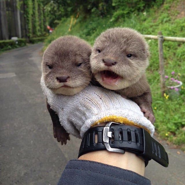 Two for one