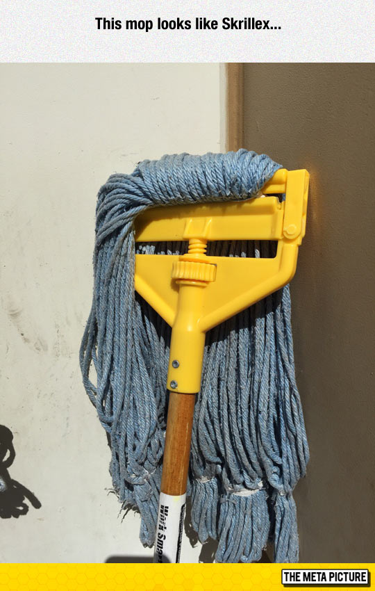 funny-Skrillex-mop-lookalike