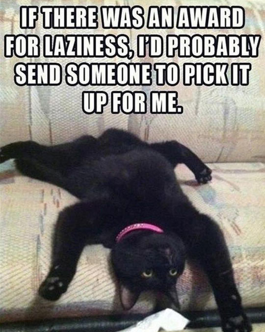 An Award For Laziness