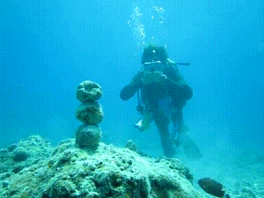 Aquaman would be proud