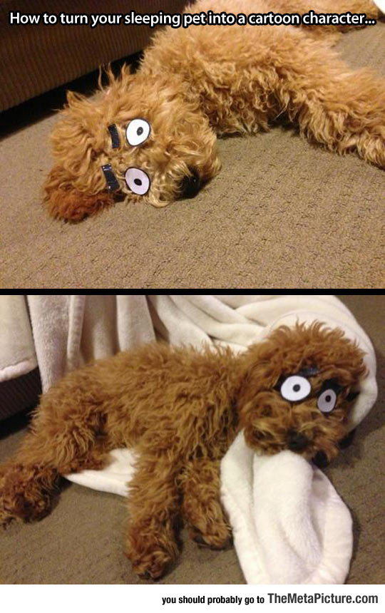 cool-dog-eyes-paper-cute