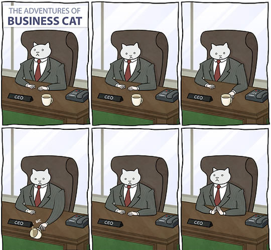 Business Cat At Work