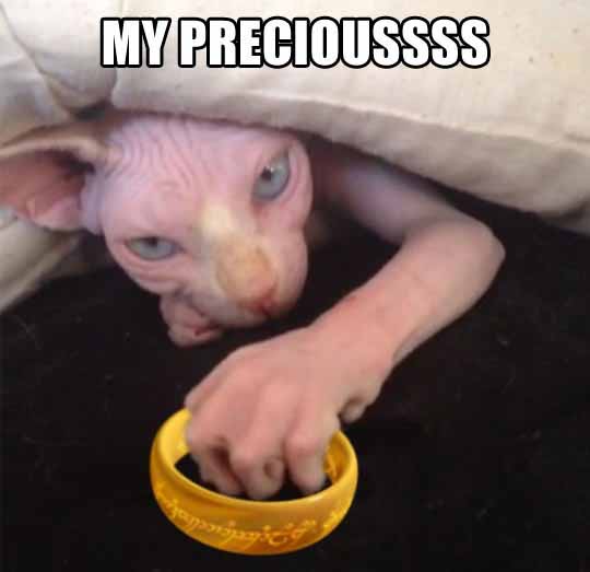 Gollum Kitty