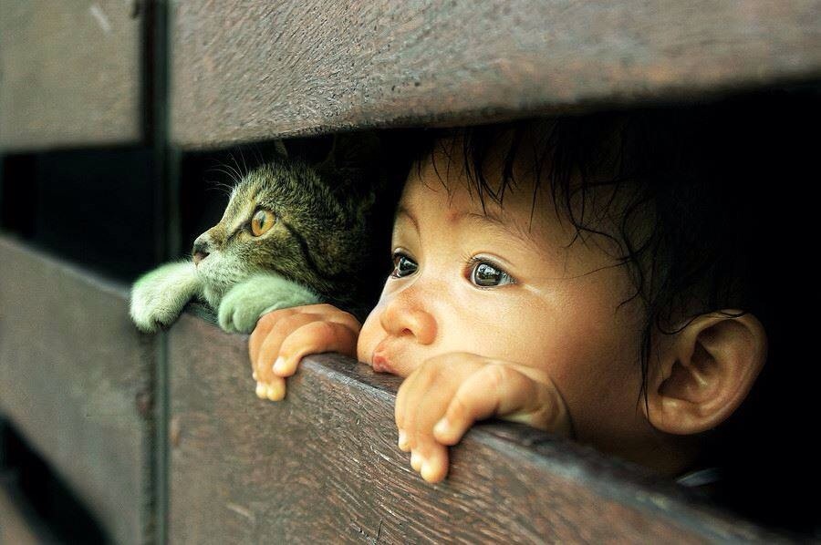 Little girl and her kitty