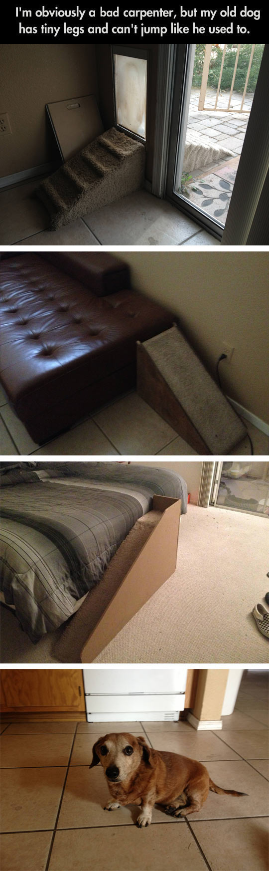 Man Adapts His House For His Old Dog