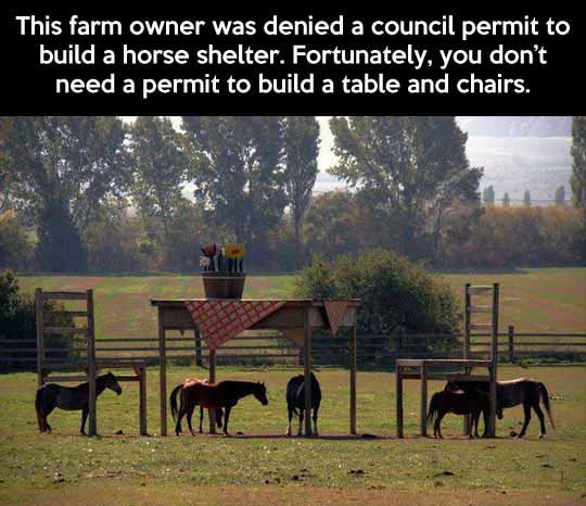That Is One Clever Farmer
