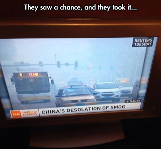 They Saw It And They Took It