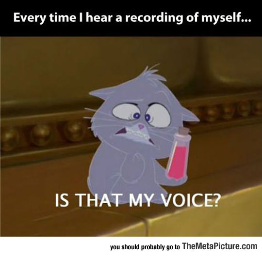 Whenever I Hear A Recording Of My Voice