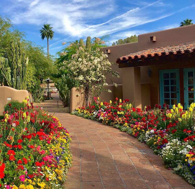 Scottsdale, Arizona in full bloom.