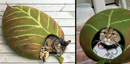 leafcatbed01