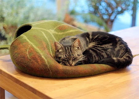 leafcatbed05