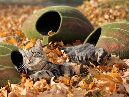 leafcatbed06