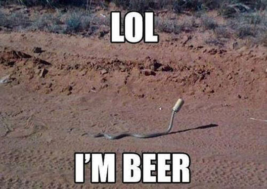 Go Home Snake, You’re Drunk