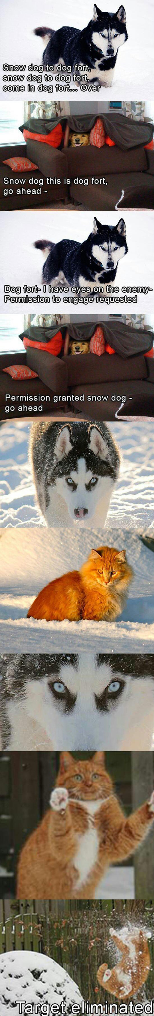 Pet Winter Wars