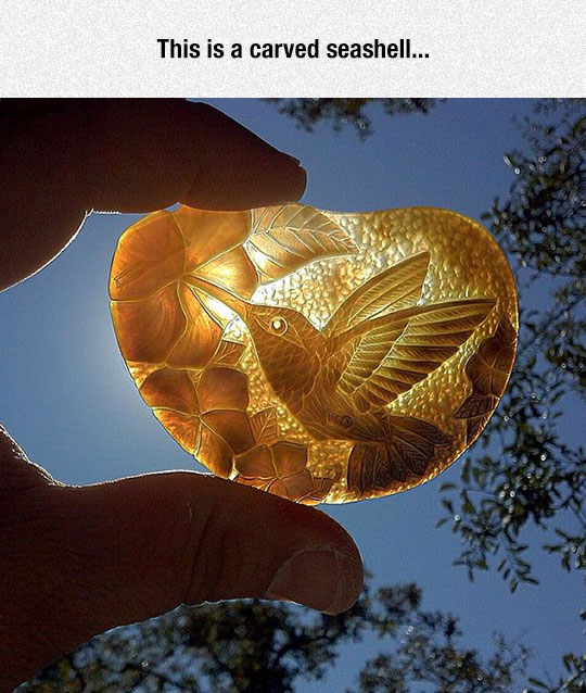 cool-carved-seashell-bird