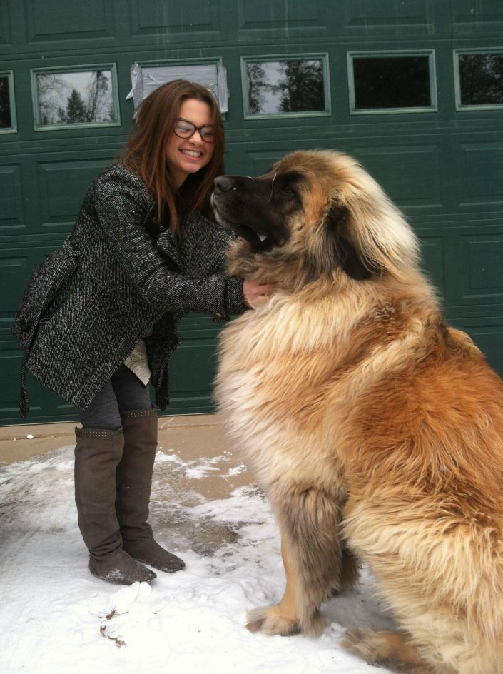 biggest newfoundland dog in the world
