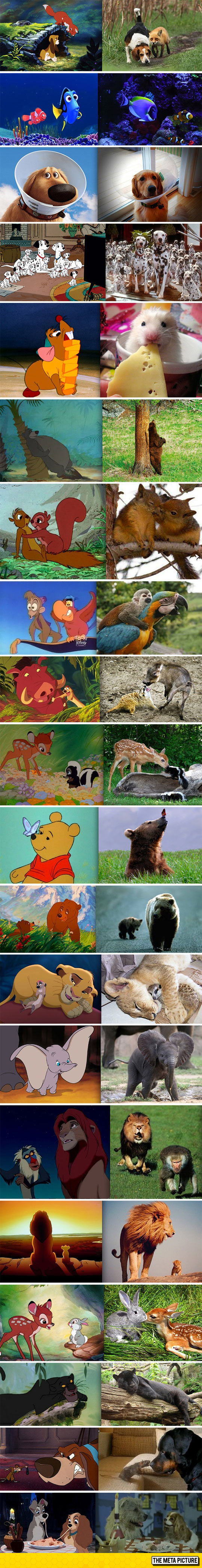 Classic Disney Movies In Real Life