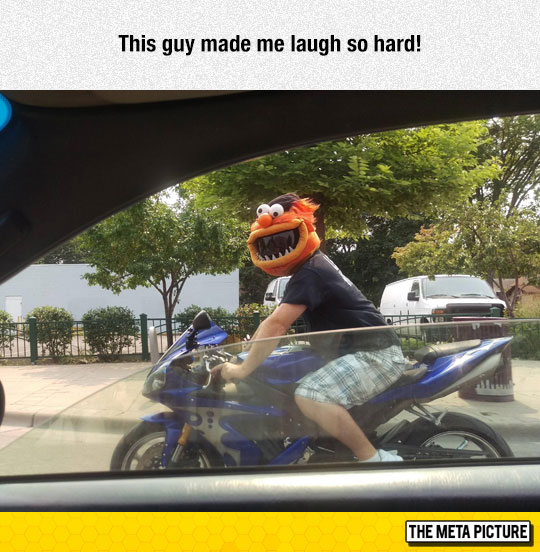cool-motorcycle-helmet-Muppets