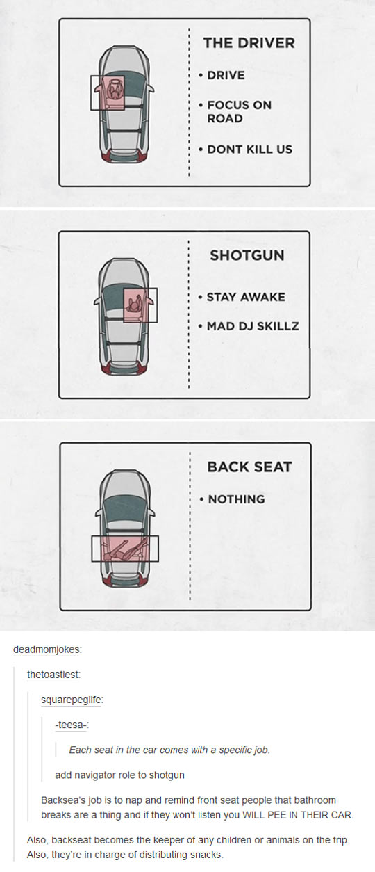 funny-car-seat-jobs-driver-back-seat