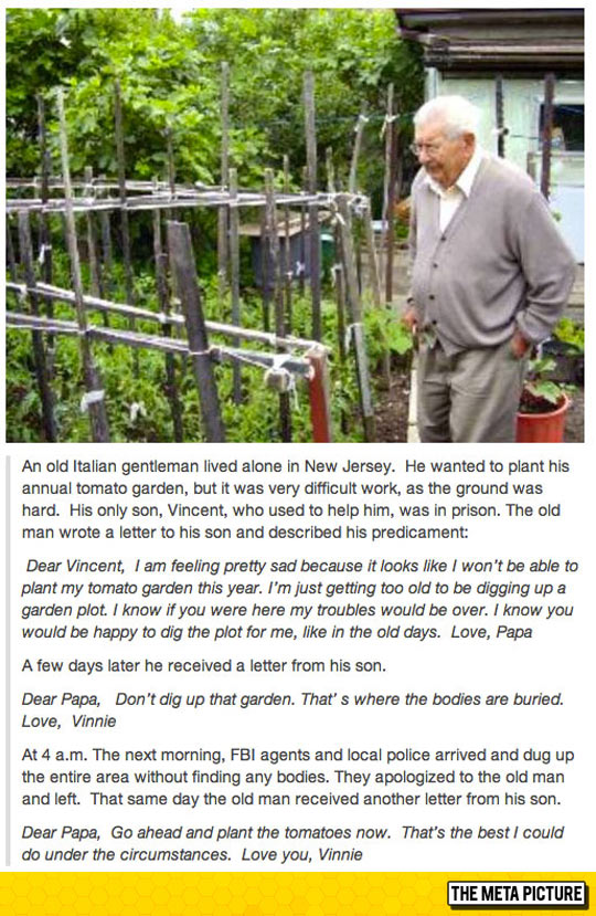 cool-story-old-man-son-prison-dig-garden