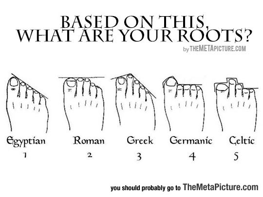 Toe Roots