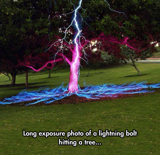 Lightning Hits A Tree