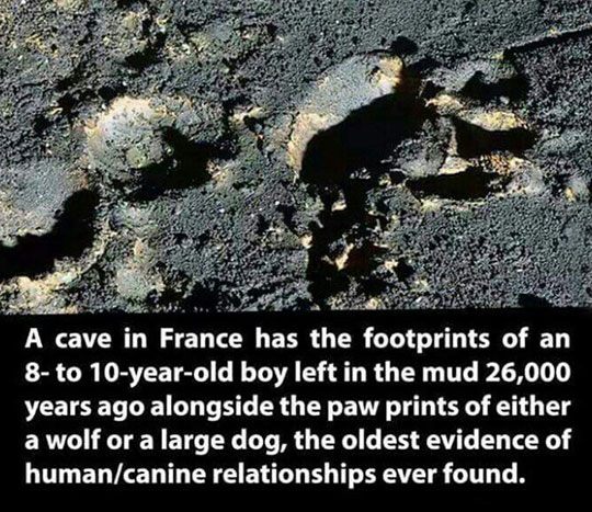 Oldest Evidence