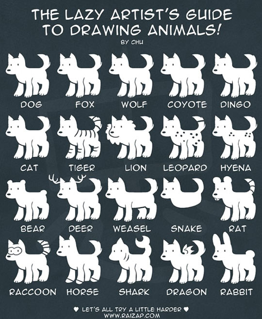 Guide To Drawing Animals