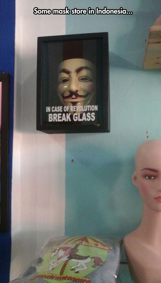 funny-mask-store-revolution-glass