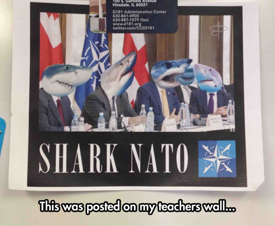 NATO Meeting