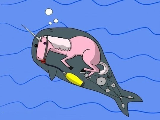 The Truth About Narwhals