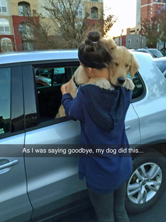 cool-dog-girl-hug-car