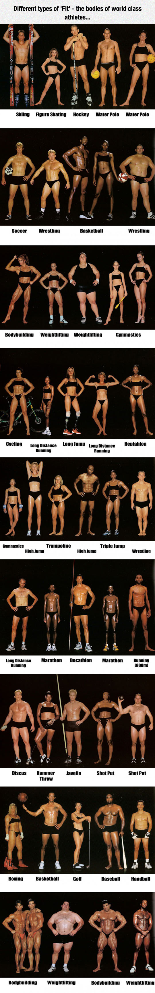 The Shape Of Your Body Depends On The Sport You Do